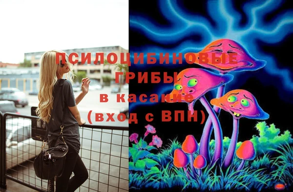 мет Абаза