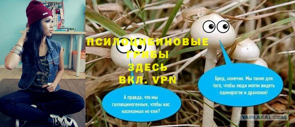 мет Абаза