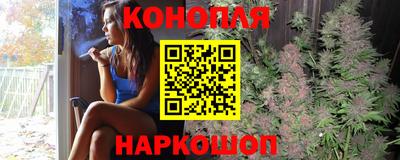 амф Бийск