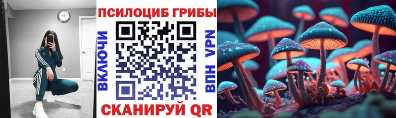 Псилоцибиновые грибы GOLDEN TEACHER  MEGA как зайти  Владикавказ 