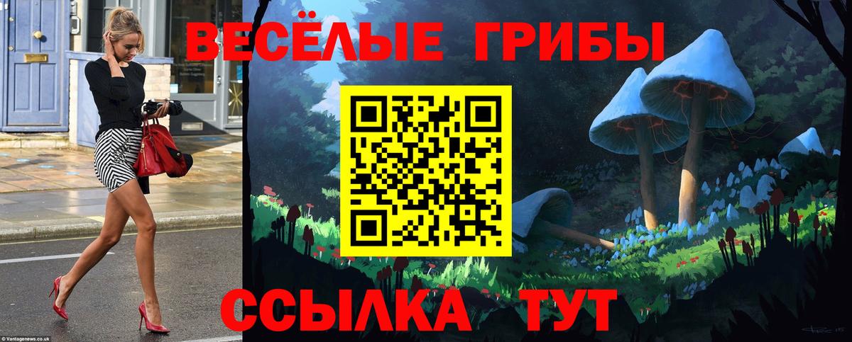 Псилоцибиновые грибы Psilocybine cubensis Владикавказ
