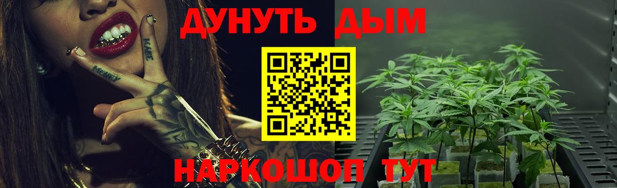 Марихуана Amnesia  Каннабис конопля  Владикавказ  Вход с VPN 
